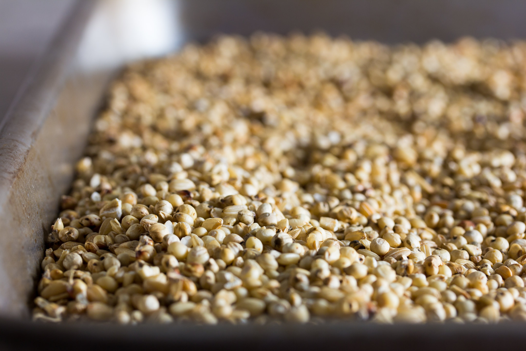 Gluten-free beer grains - Sorghum, Brown Rice, Oats, Toasted